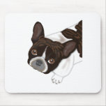 Perla de Bailey el perro de Frenchie Tapete De Ratones