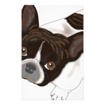 Perla de Bailey el perro de Frenchie Papeleria