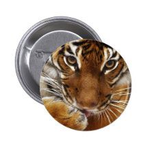 Perno malayo del tigre #1 pins