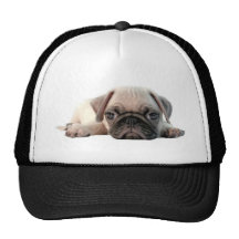perrito adorable del barro amasado gorra