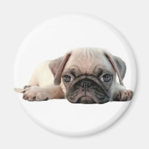 perrito adorable del barro amasado imanes  