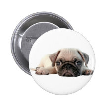 perrito adorable del barro amasado pin