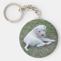 Perrito americano del dogo llavero