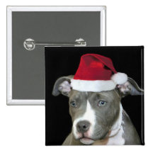 Perrito azul del pitbull del navidad pins