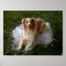 Perrito caliente en hielo frío impresiones
