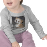 Perrito de Havanese Camisetas