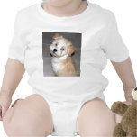 Perrito de Havanese Traje De Bebé