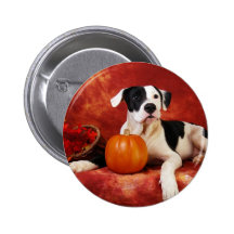 Perrito de la caída pins