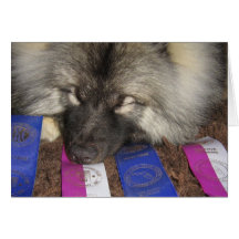 Perrito de la demostración del Keeshond Tarjetas