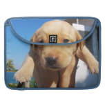 ¡Perrito de Labrador - buena mañana! Funda Para Macbook Pro