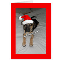 Perrito de las Felices Navidad Felicitacion