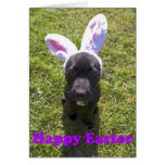 Perrito de Pascua Felicitación