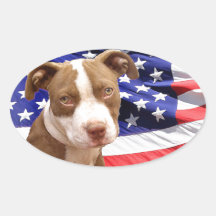 Perrito de Pitbull del americano Calcomania Ovalada