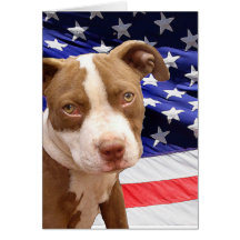 Perrito de Pitbull del americano Tarjeta
