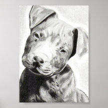 Perrito de Pitbull en la impresión del lápiz de Ja Impresiones