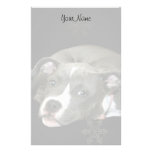 Perrito de Pitbull inmóvil Papeleria