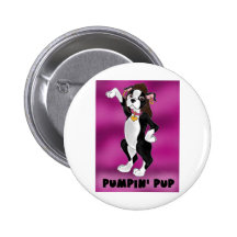 Perrito de Pumpin