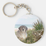 Perrito de Purfect del llavero del golden retrieve