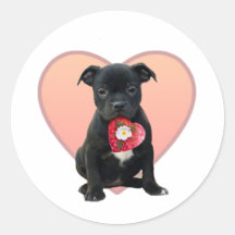 Perrito de Stafforshire bull terrier Etiqueta
