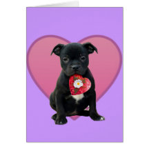Perrito de Stafforshire bull terrier Tarjeton