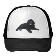Perrito de Terranova Gorras De Camionero