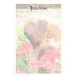 Perrito del boxeador en las petunias inmóviles  papeleria de diseño