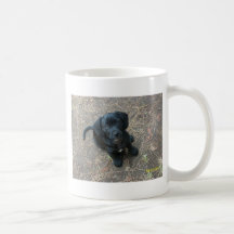 Perrito del Dachshund Tazas De Café