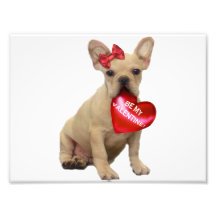 Perrito del dogo francés de Valentin Arte Con Fotos
