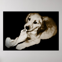 Perrito del golden retriever con la impresión del 