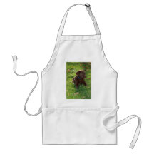 Perrito del laboratorio del chocolate delantales