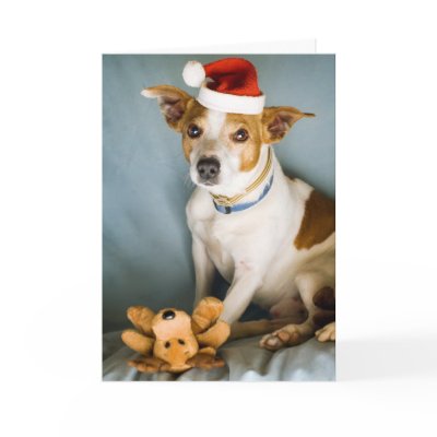 Perrito dulce de la Navidad por xmasstore