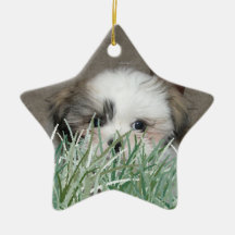 Perrito en la hierba ornamento de navidad