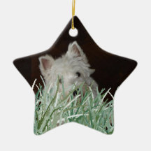 Perrito en la hierba ornamentos para reyes magos