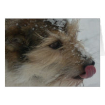 Perrito en la nieve tarjetón