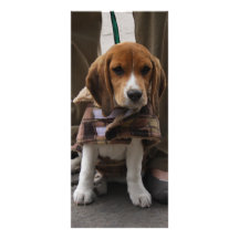 Perrito en México Lona