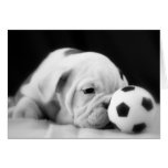 "Perrito inglés del dogo de la nariz del balón de  Tarjetón