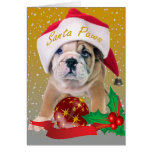 Perrito inglés del dogo en tarjetas del gorra de S