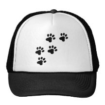 perrito lindo negro de las patas del perro gorras