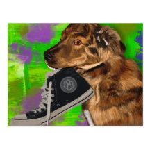 Perrito lindo que ase hola una zapatilla de deport postales