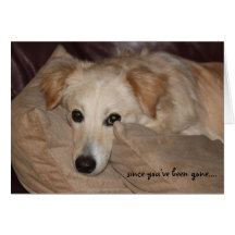 Perrito lindo, tarjeta de SRTA. YOU de I