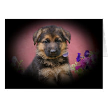 Perrito lindo tarjetón