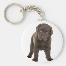 Perrito macizo de Labrador del chocolate Llaveros Personalizados