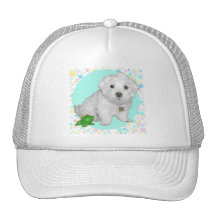 Perrito maltés con las burbujas gorra