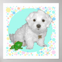 Perrito maltés con las burbujas poster