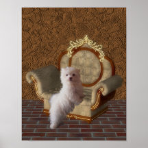 Perrito maltés en el poster del perro de la silla