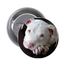 Perrito Pin