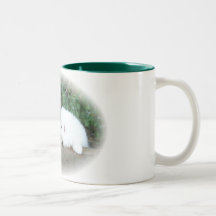 Perrito Tazas