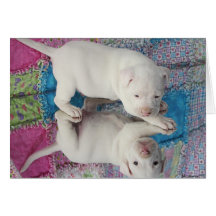 Perrito viejo ahorrado de 4 semanas felicitación