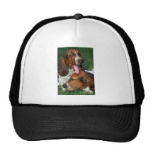 Perritos de Basset Hound Gorra