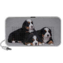 Perritos de Bernese Portátil Altavoz